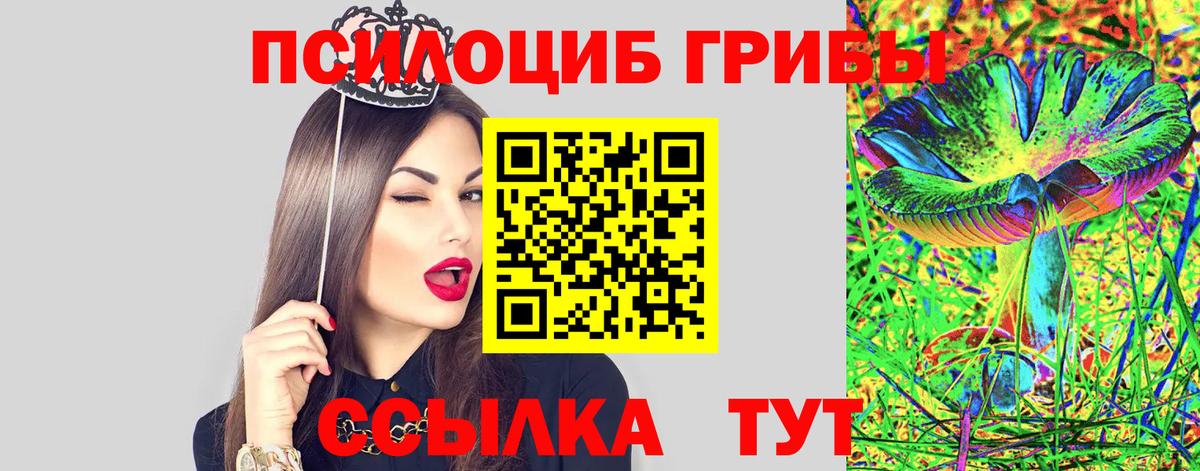 Галлюциногенные грибы мухоморы Абинск
