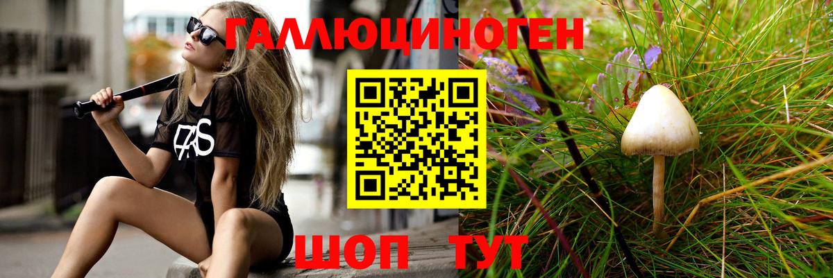 Псилоцибиновые грибы Psilocybe  Вход с VPN  Абинск  Галлюциногенные грибы мухоморы 