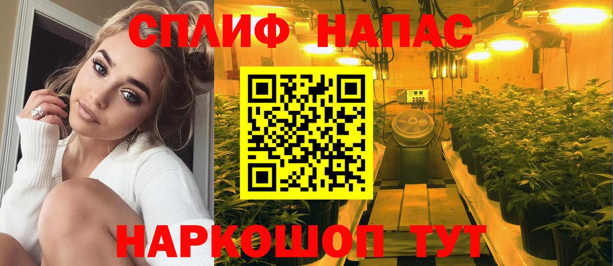 Абинск  Канабис планчик  Каннабис семена  Вход с VPN  Бошки Шишки Amnesia 